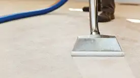 Carpet cleaning wand head gliding over a light carpet during hot-water extraction, Erie, PA.