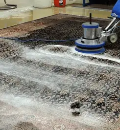 Professional rug cleaning with a rotary floor machine and shampoo foam, deep-cleaning an area rug Erie, PA.